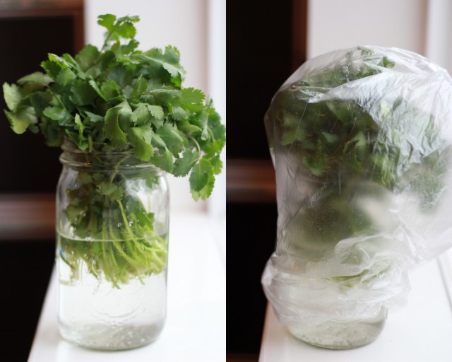 Storing Fresh Herbs